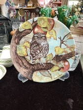 Coalport Long Eared Owl by