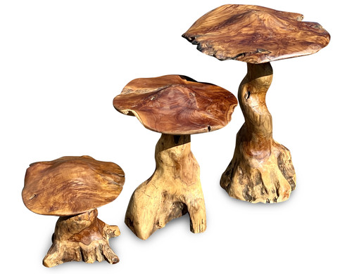 Giant wild toadstools - giant,