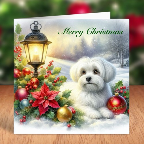 Maltese dog christmas - dog,