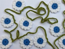 White Daisy  with blue centres