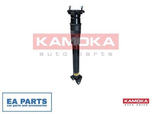 Air suspension strut for - strut,