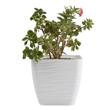 Plant Pot Flowerpot Square