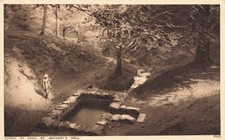 Forest of Dean St Anthony's Well Postcard (J661)