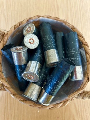 Spent shotgun cartridge - spent,