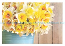 D204504 Flowers I M Supporting Marie Curie Cancer Care The Great Daffodil Appeal