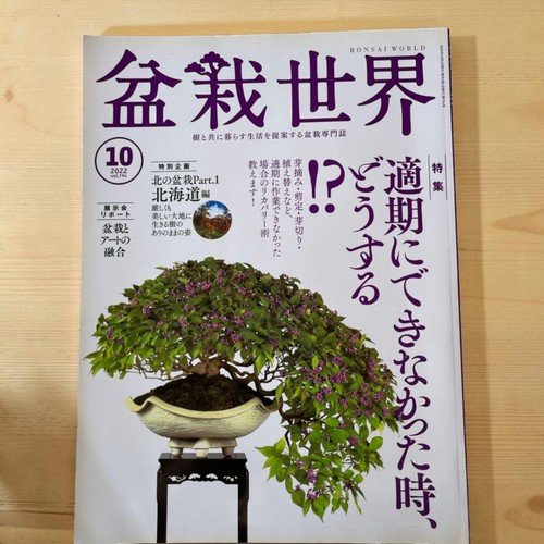 Bonsai world oct 2022 mag - oct,