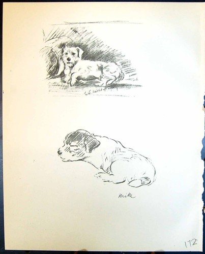 Original old vintage print - original,