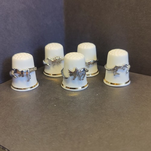463 novelty set of 5 - novelty,