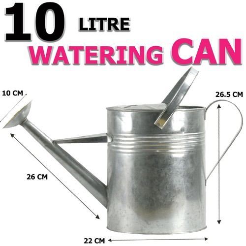 Galvanised watering can - watering,
