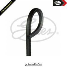Alternator Belt Ribbed FOR