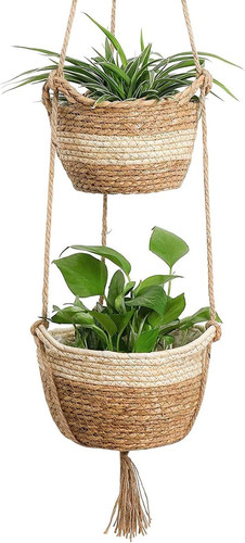 Hanging seagrass planter - hanging,