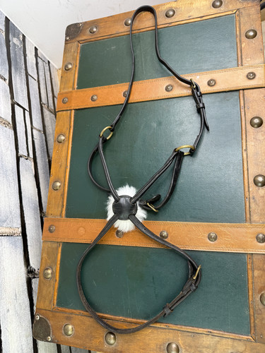 Dyon mexican grackle noseband - mexican,