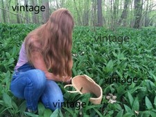 100 x Wild Garlic Bulbs Only 