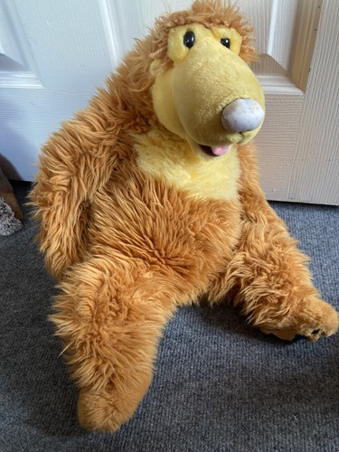 Vintage disney bear the - in, big