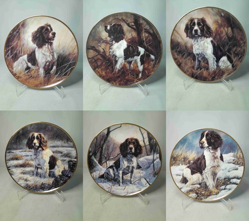 Your choice the springer - of,