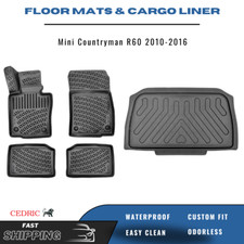 Car Floor Mats & Trunk Cargo
