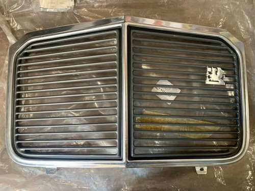 Front grille for vauxhall - front,