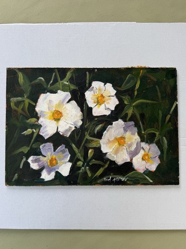 Original 12 in white - 12,