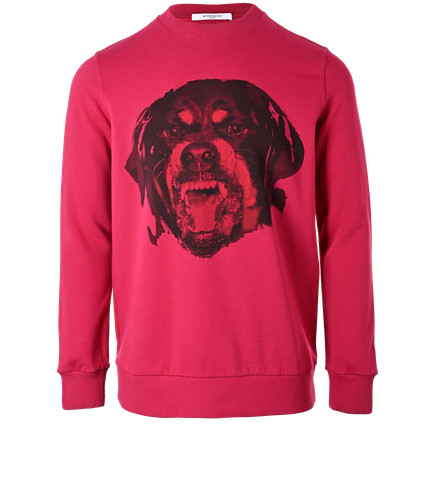 Givenchy rottweiler jumper - rottweiler,