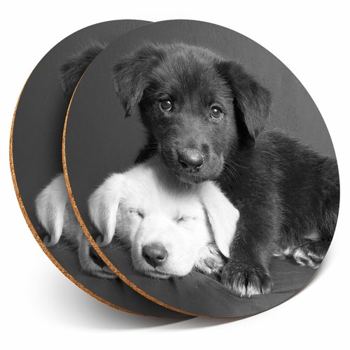 Coasters labrador puppy - coasters,