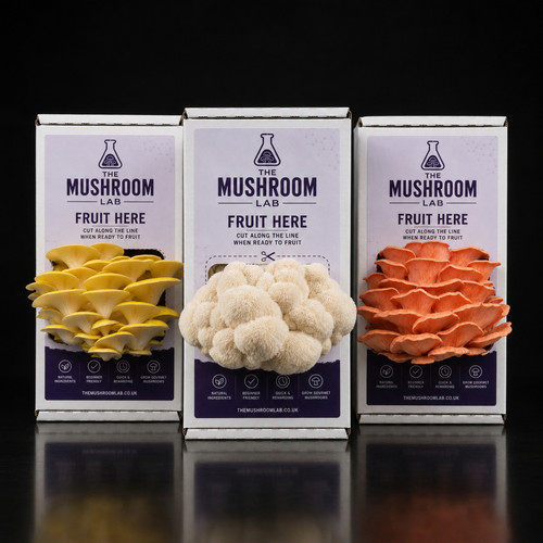 Mushroom grow kit mix match - kit,