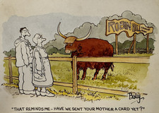 Mother In Law Humour, Funny Comic Art by Besley, J Arthur Dixon Postcard
