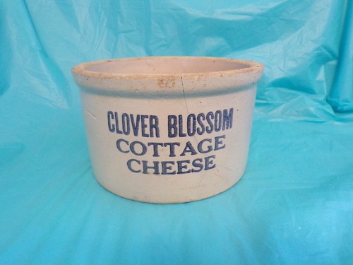 Vintage clover blossom - clover,