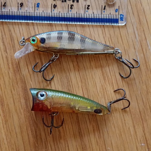 Rapala lures shadow rap - rapala, ul