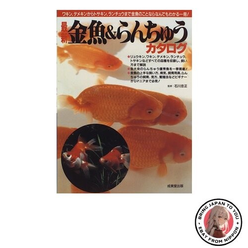 Latest goldfish ranchu - latest,