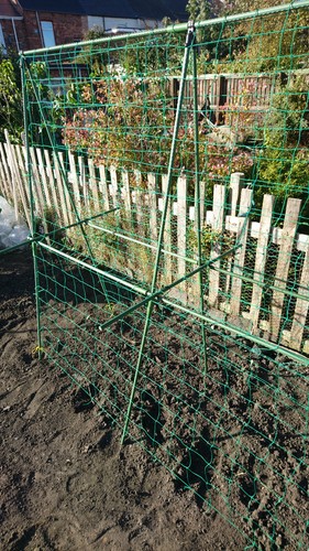 Easynets pea bean support - easynets, &