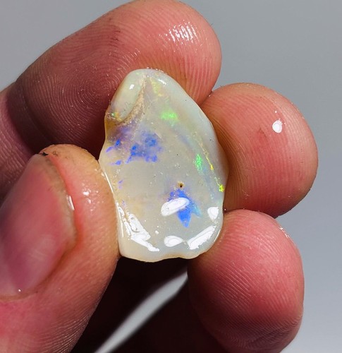 Opal shell fossil mile - shell,