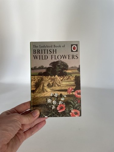 British wild flowers vintage - british,