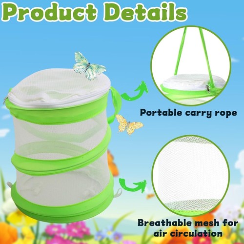 Green collapsible insect - collapsible, cage
