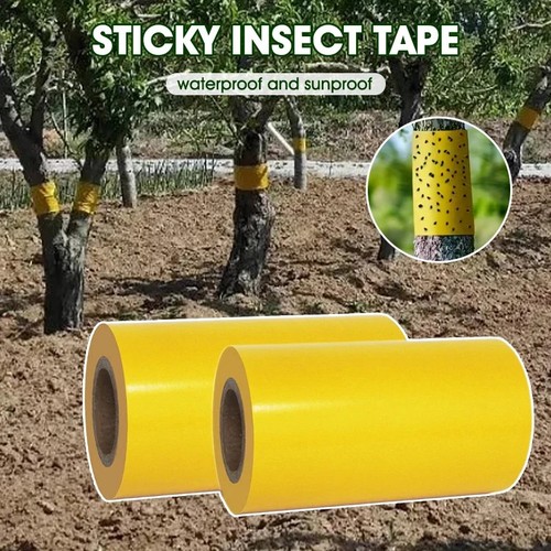 Yellow grease band tree insect - yellow,
