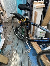 Raleigh Europa Mountain Bike