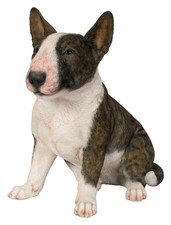Vivid Arts Bull Terrier