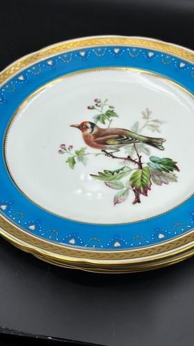 Antique 1872 minton dinner - 1872,