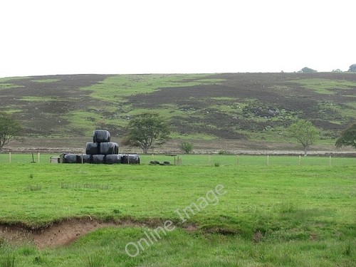 Photo 6x4 silage - a,