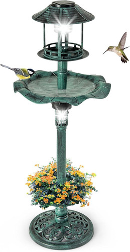 Bird feeder and bath in - and, 1