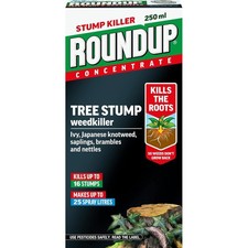 Roundup tree stump and root - stump,