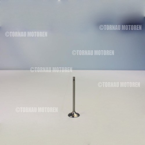 Intake valve for audi - audi, seat