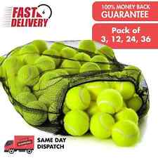 12/24 Tennis Balls with Mesh
