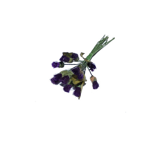 Mini scottish purple thistle - mini,