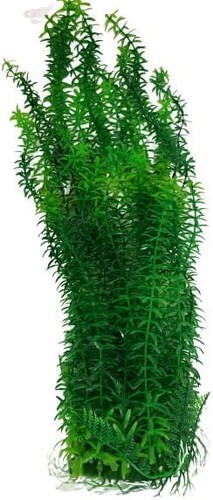 Aquariumh2o jumbo extra - aquariumh2o,