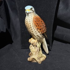 Beautiful beswick kestrel bird - beautiful,