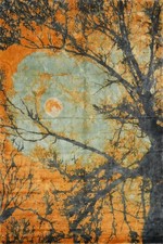 Contemporary Handmade Rug 6x8