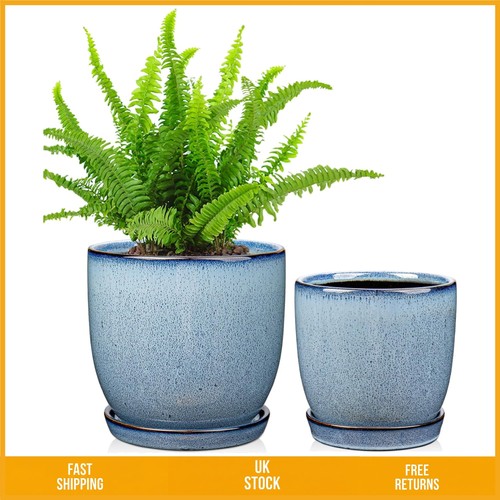Elegant blue ceramic - elegant, indoor