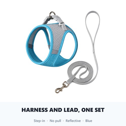 Dog harness lead - harness, set