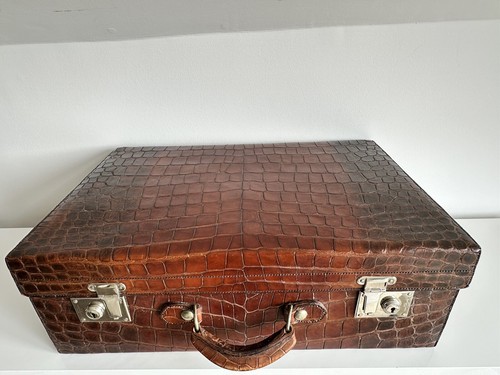 Large antique crocodile skin - large,