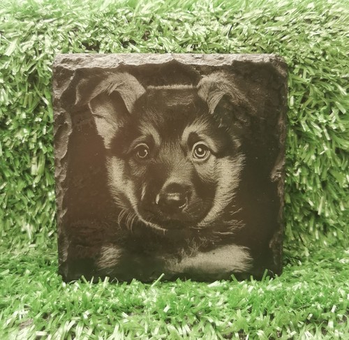 Engraved dog breed slate - dog,